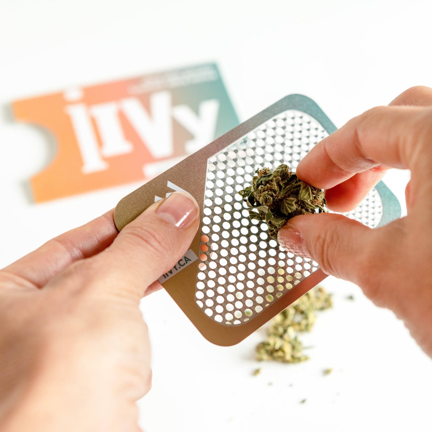 iivy marijuana weed accessories grinder card gold in use