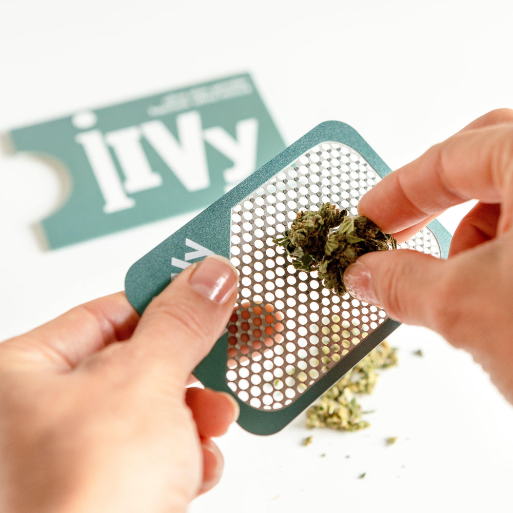 iivy marijuana weed accessories grinder card teal in use
